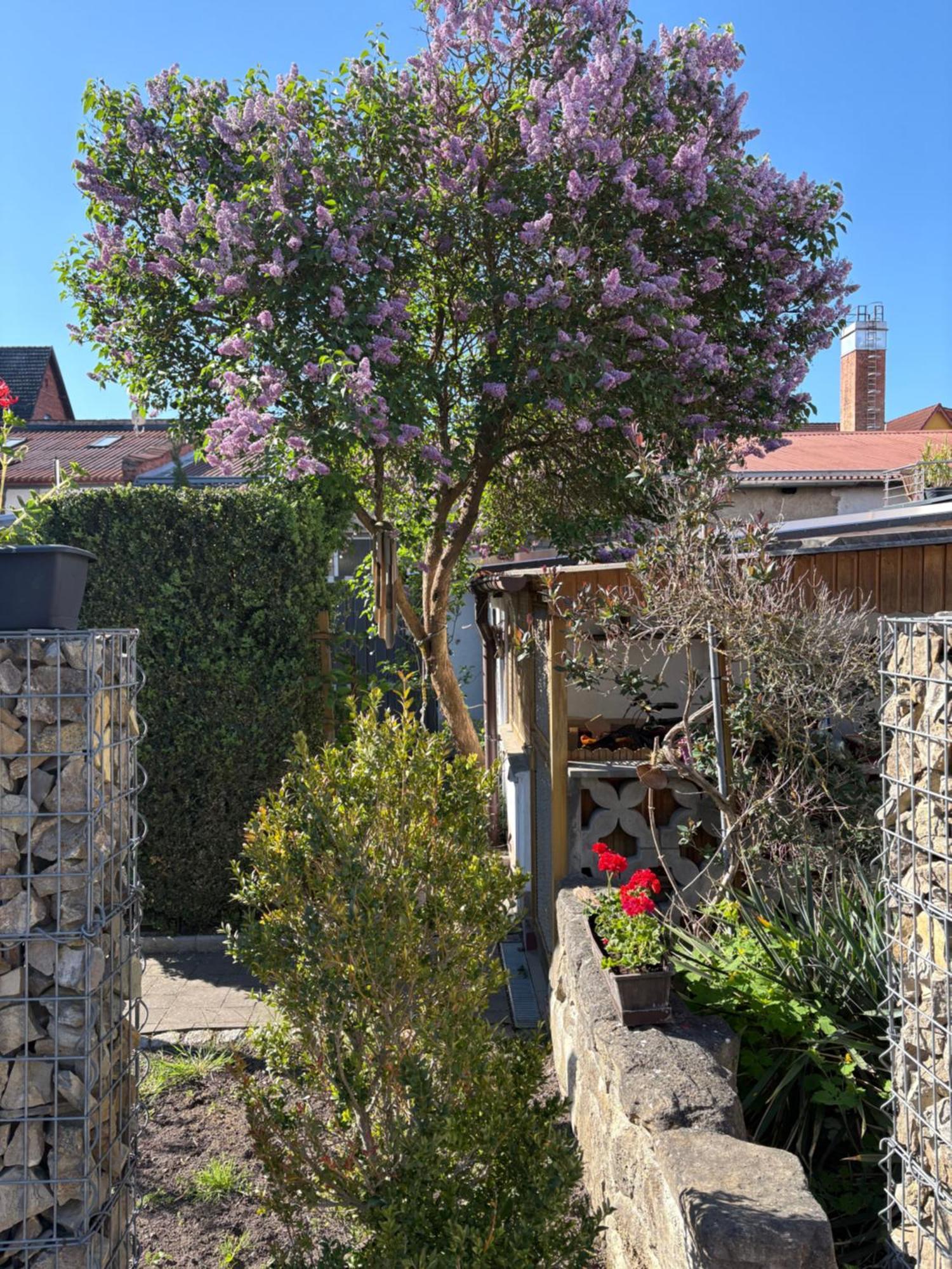 Haus Hannah Meiningen Esterno foto